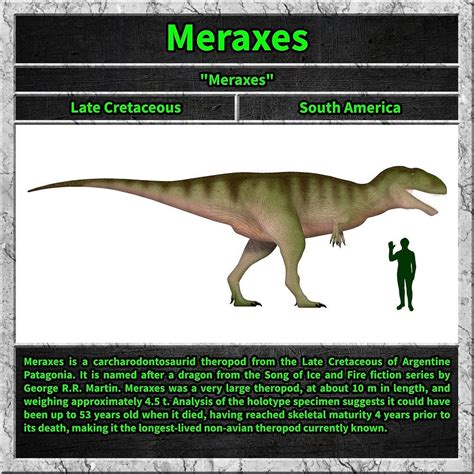 Meraxes - dinosaur named after dragon from "Song of Ice and Fire" : r/gameofthrones