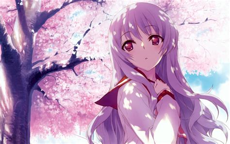 Anime girl under a sakura tree Anime Cherry Blossom, Cherry Blossom Wallpaper, Cherry Blossoms ...