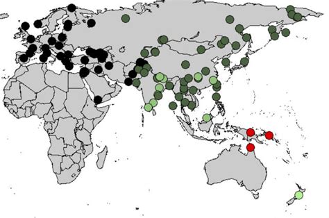 Neanderthal Dna Map