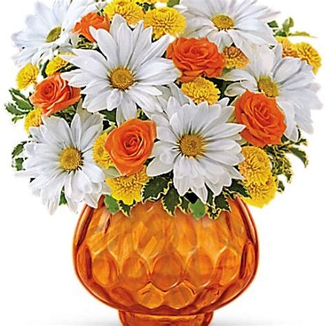 Flowers El Paso Tx 79912 / Angie S Floral Designs El Paso Florist Online Flower Delivery Send ...