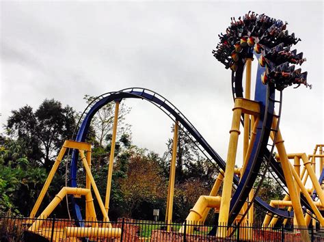 Got batwing? Montu at Busch Gardens Tampa : r/rollercoasters