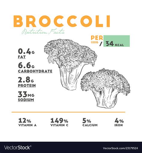 Nutrition facts of broccoli Royalty Free Vector Image