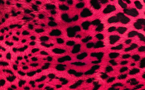 Pink Cheetah Background Tumblr