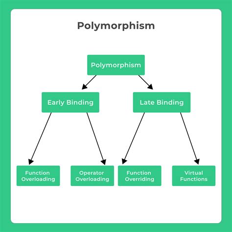 Polymorphism in C++ Programming Laguage | Prepinsta