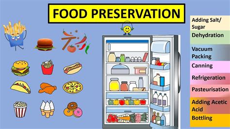 CBSE: Class 5: Science: Food Preservation - YouTube