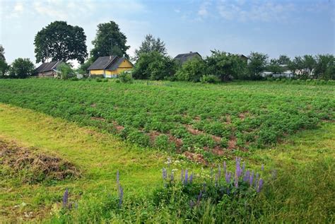 Premium Photo | Rural landscape