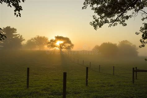 Sunrise on farm field stock image. Image of yellow, colorful - 159963819