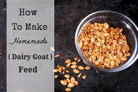 To Sing With Goats: How To Make Homemade Dairy Goat Feed