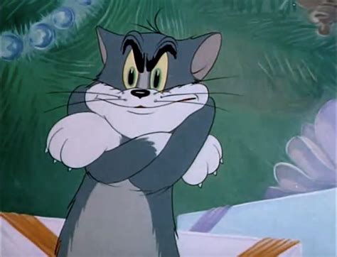 List of Tom and Jerry Internet Memes | Tom and Jerry Wiki | Fandom