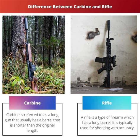 Carbine vs Rifle: Difference and Comparison