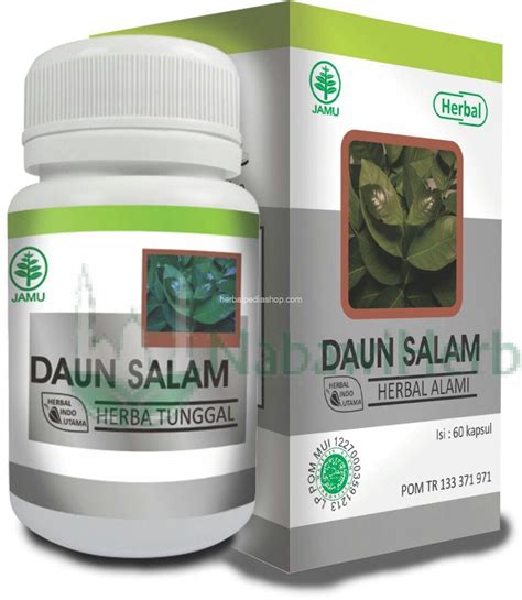 Daun Salam - Nabawi Herba - Distributor Herbal