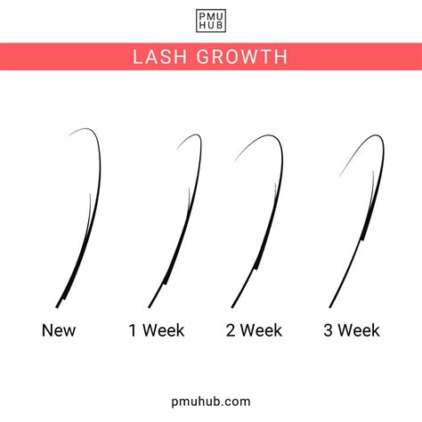 How Long Do Eyelash Extensions Last?