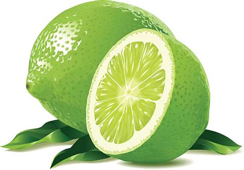 Lime Cartoon ~ Lime Stock Vector. Image Of Illustration, Clip, Food | Liferisife