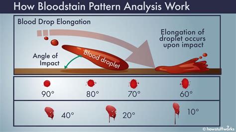 Blood Spatter Analysis Types