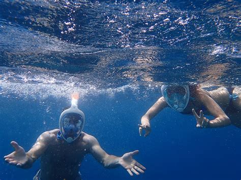 HD wallpaper: Photo of People Snorkeling Underwater, divers, diving ...