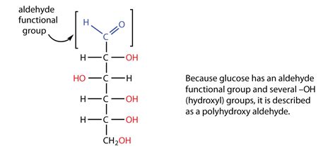 16.1 Carbohydrates | The Basics of General, Organic, and Biological ...