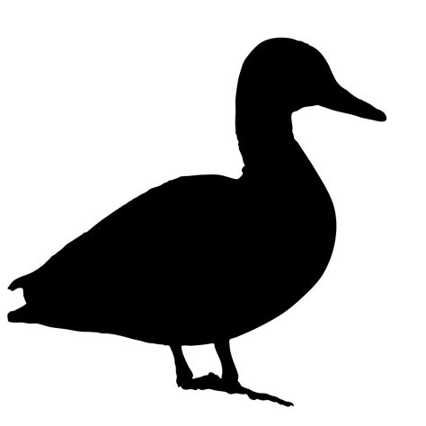 Duck Black Silhouette Free Stock Photo - Public Domain Pictures