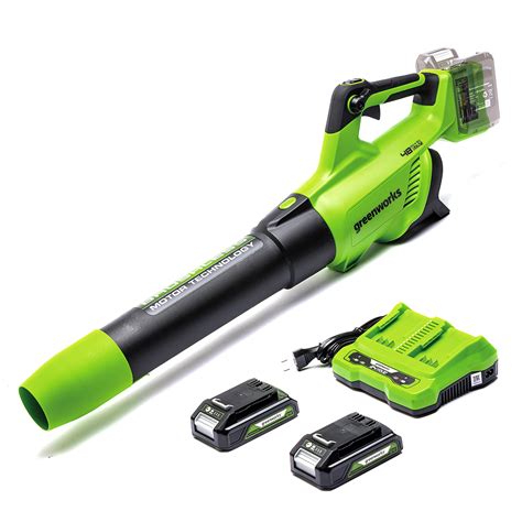 Buy Greenworks axial cordless leaf blower GD24X2BVK2X (Li-Ion 2x24V ...