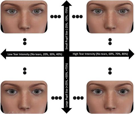 Social Effects of Tears and Small Pupils Are Mediated by Felt Sadness: An Evolutionary View ...