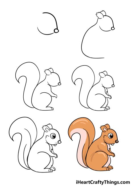 Squirrel Drawing - How To Draw A Squirrel Step By Step