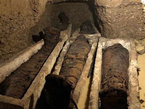 Newly Found Ancient Tombs in Egypt Revealed 40 Mummies of More Than ...