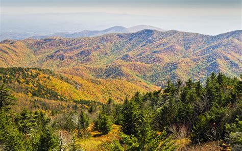 Mount Mitchell State Park