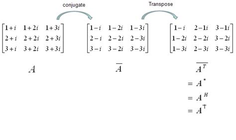 Difference Between Transpose and Conjugate Transpose