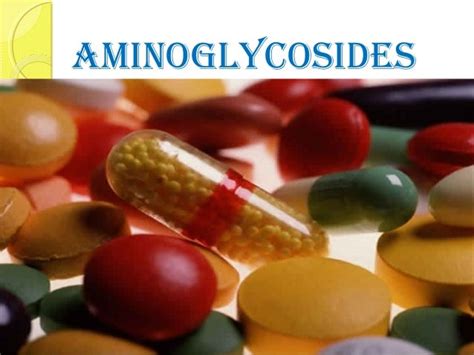 30.aminoglycosides