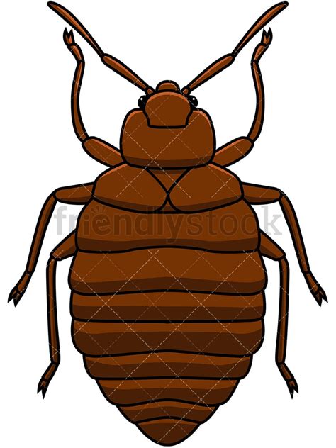 Bed Bug Top View Cartoon Vector Clipart - FriendlyStock