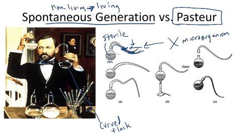 Theories of Origins of Life and Evolution - Example 2 ( Video ) | Biology | CK-12 Foundation