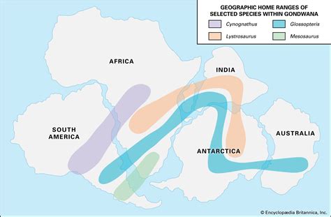 Continental drift | Definition, Evidence, Diagram, & Facts | Britannica