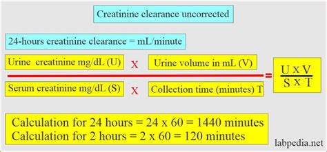 Renal Clearance Calculation