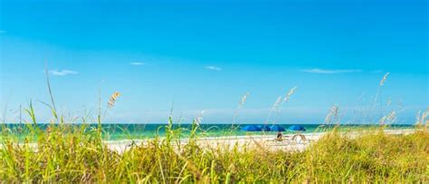 What You Need to Know About Horseshoe Beach, Florida - Floridaing