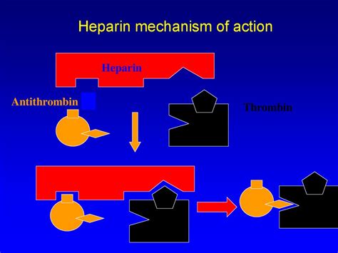 Anticoagulant, Antiagregant Therapy - презентация онлайн