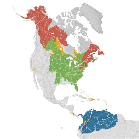 Blackpoll Warbler - Range map - eBird Status and Trends