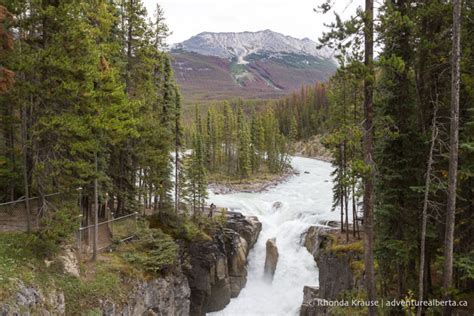 Sunwapta Falls Hike- Guide to Hiking Sunwapta Falls Trail