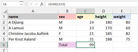 The 15 Basic Excel Formulas Everyone Needs to Know | DataCamp