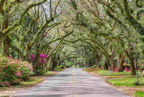 Top 10 Best Towns in Alabama – Exploring-USA