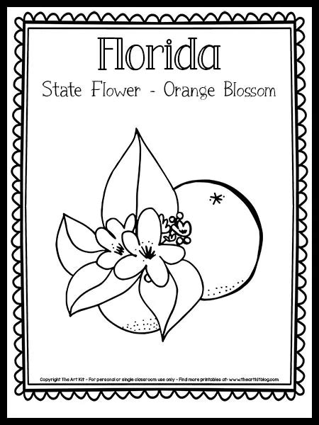 Florida State Flower Coloring Page (the Orange Blossom!) {FREE Printable!} - The Art Kit