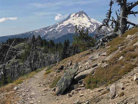 Lookout Mountain Hike: One of the Best Views Anywhere Near Mount Hood - Author Paul Gerald