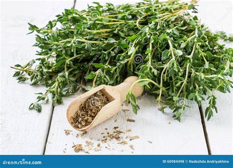 Green Sprigs of Thyme and Dried Thyme in the Scoop Stock Photo - Image of fragrance, aroma: 60984498