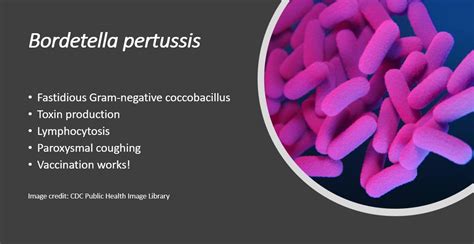 Weekend Digest Name the Pathogen Five Clues 1. Fastidious Gram-negative ...