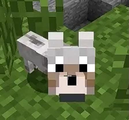 Baby Wolf image Minecraft Wolf, Minecraft Baby, Minecraft Skins Aesthetic, Capas Minecraft ...