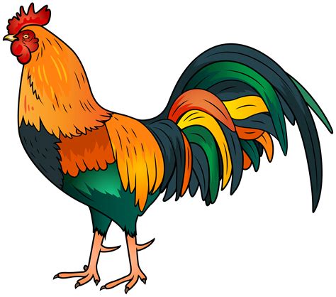 Rooster cock high quality clip art - Clip Art Library