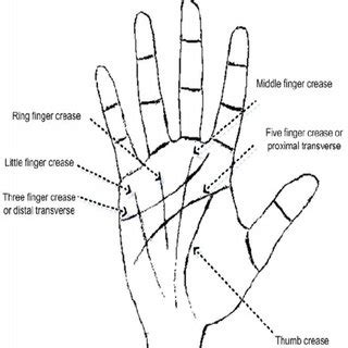 (PDF) Personal Identification and Verification using Palm Print Biometric