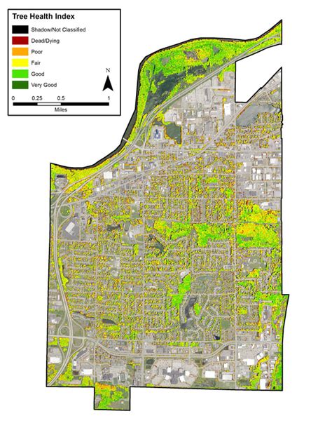 City of Grandville - TREE CANOPY IN THE LOWER GRAND RIVER