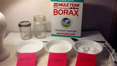 How to Get Rid of Ants with Borax / Boric Acid - Fast Killing?