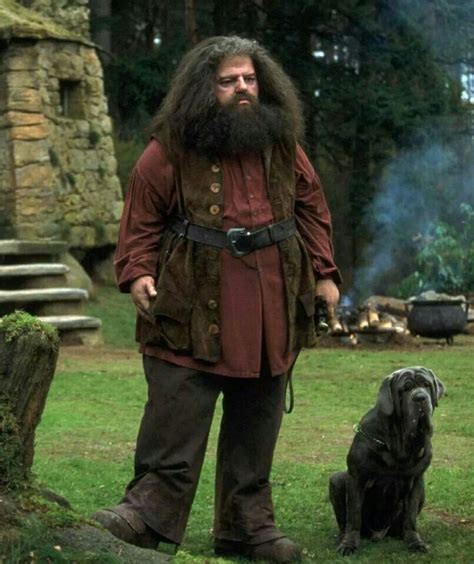 Hagrid and Fang | Harry potter movies, Harry potter cosplay