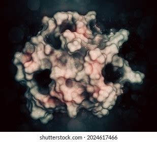 18 Beta Lactoglobulin Images, Stock Photos & Vectors | Shutterstock