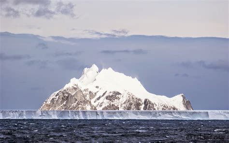 MV FRAM EXPEDITION BLOG: Elephant Island, the entrance to Antarctica